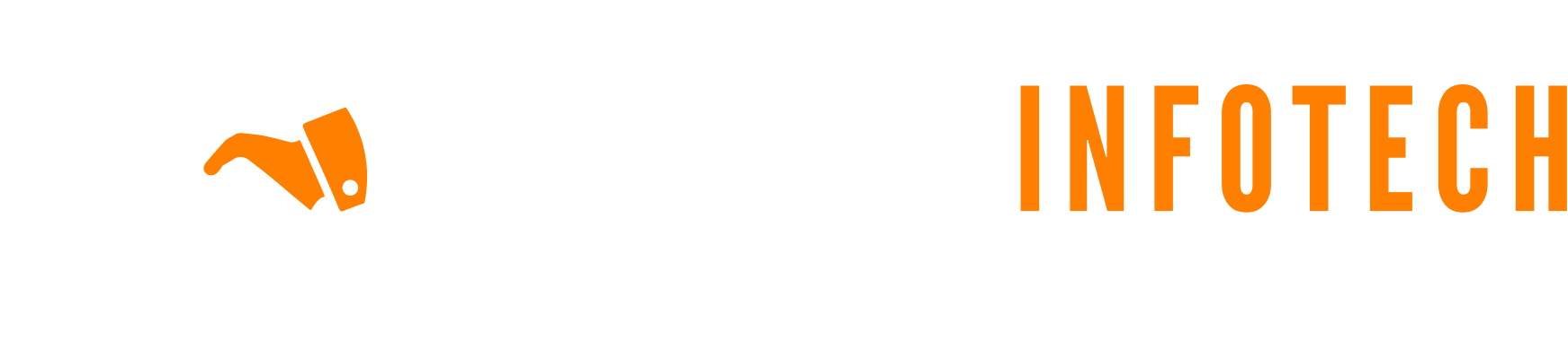 SkySetu Infotech LLP